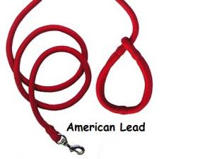 American Lead