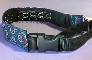 Buckle Prong Collars for Medium to Large Breeds