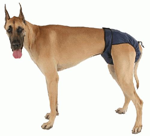 SnuggEase Dog Diapers